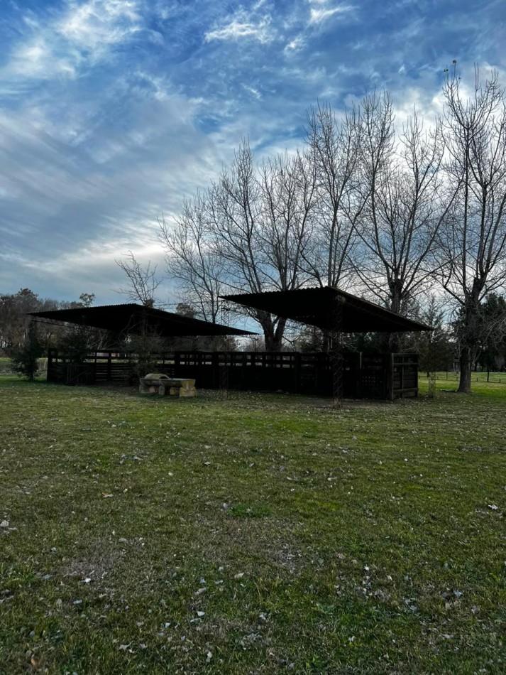 ALQUILER chacra 1 1/2 Carlos Keen 